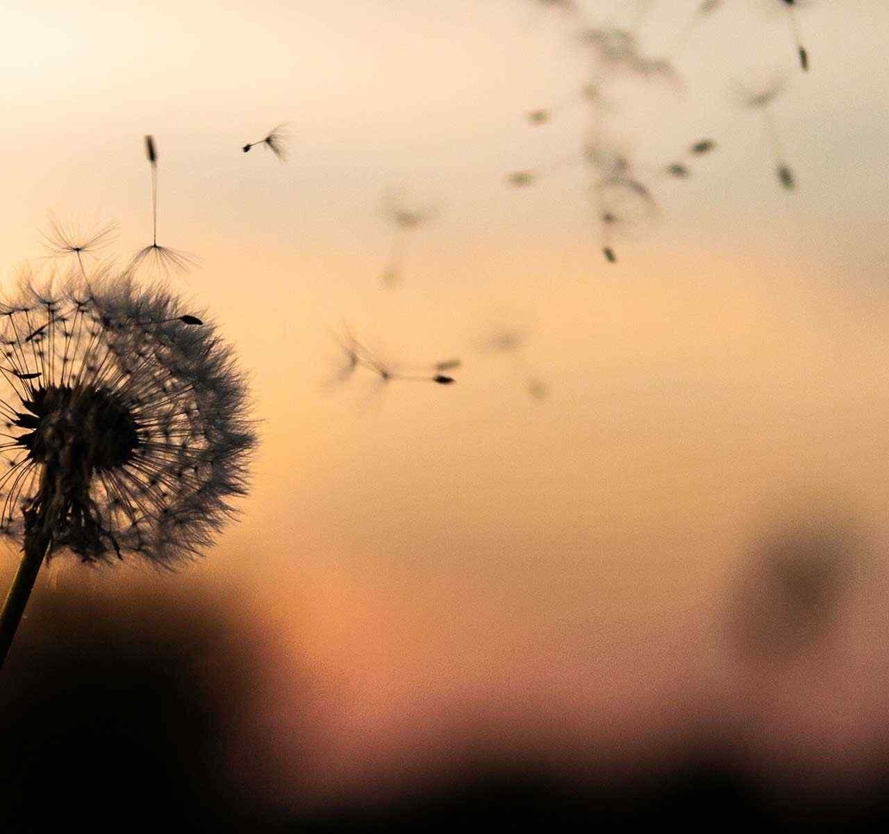 https://uni-businesses.com/wp-content/uploads/2018/09/post_02-1280x1200.jpg