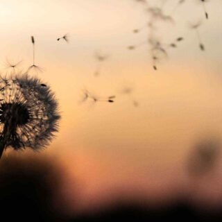 https://uni-businesses.com/wp-content/uploads/2018/09/post_02-320x320.jpg